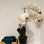 Miodowa Old Town Residence, Historic Royal Route Apartman *
