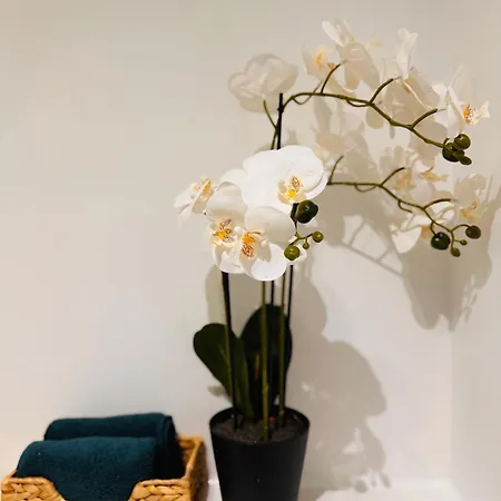 Miodowa Old Town Residence, Historic Royal Route Apartmán *