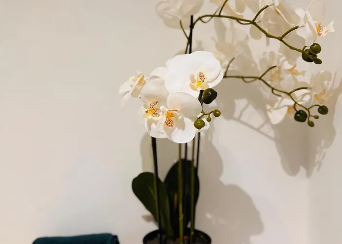 Miodowa Old Town Residence, Historic Royal Route Apartment *